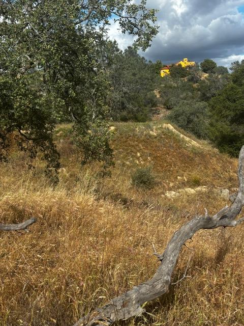 4 Powder Horn Way Coarsegold, CA 93614 - Photo 16 of 23