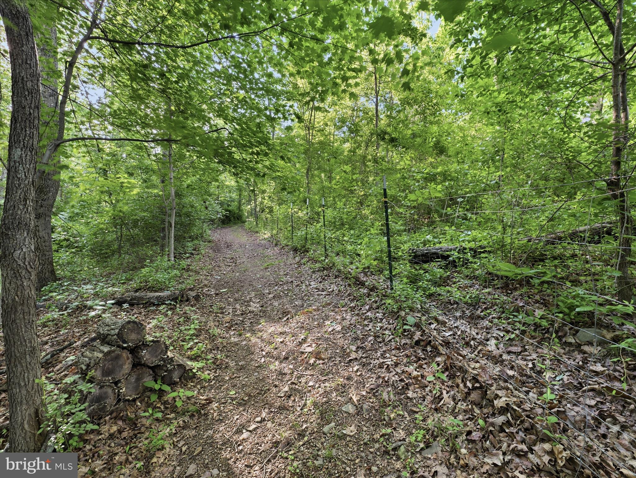 286 Tub Run Hollow Road Hedgesville, WV 25427 - Photo 61 of 72 Wide cleared path that leads to one of the streams