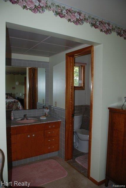 3731 Frenchline Road Marlette, MI 48453 - Photo 17 of 22 Master Bath