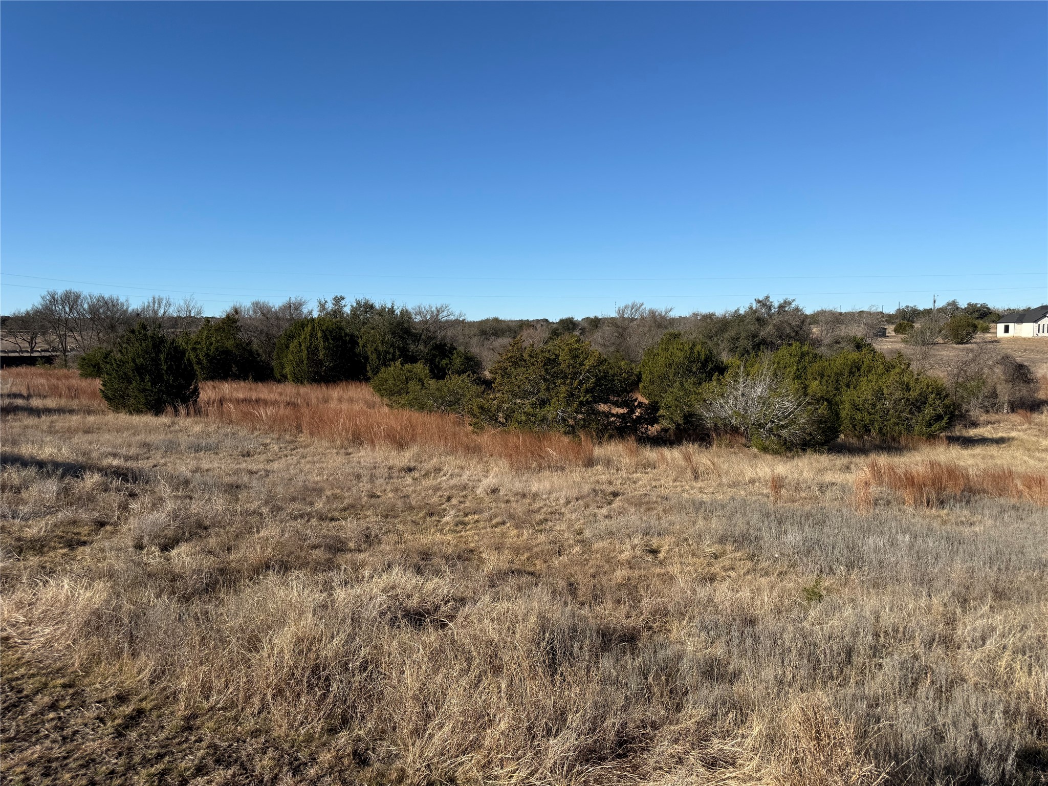 1 Cloudwood Ranch Road Briggs, TX 78608 - Photo 5 of 9 a view of a field of grass and trees