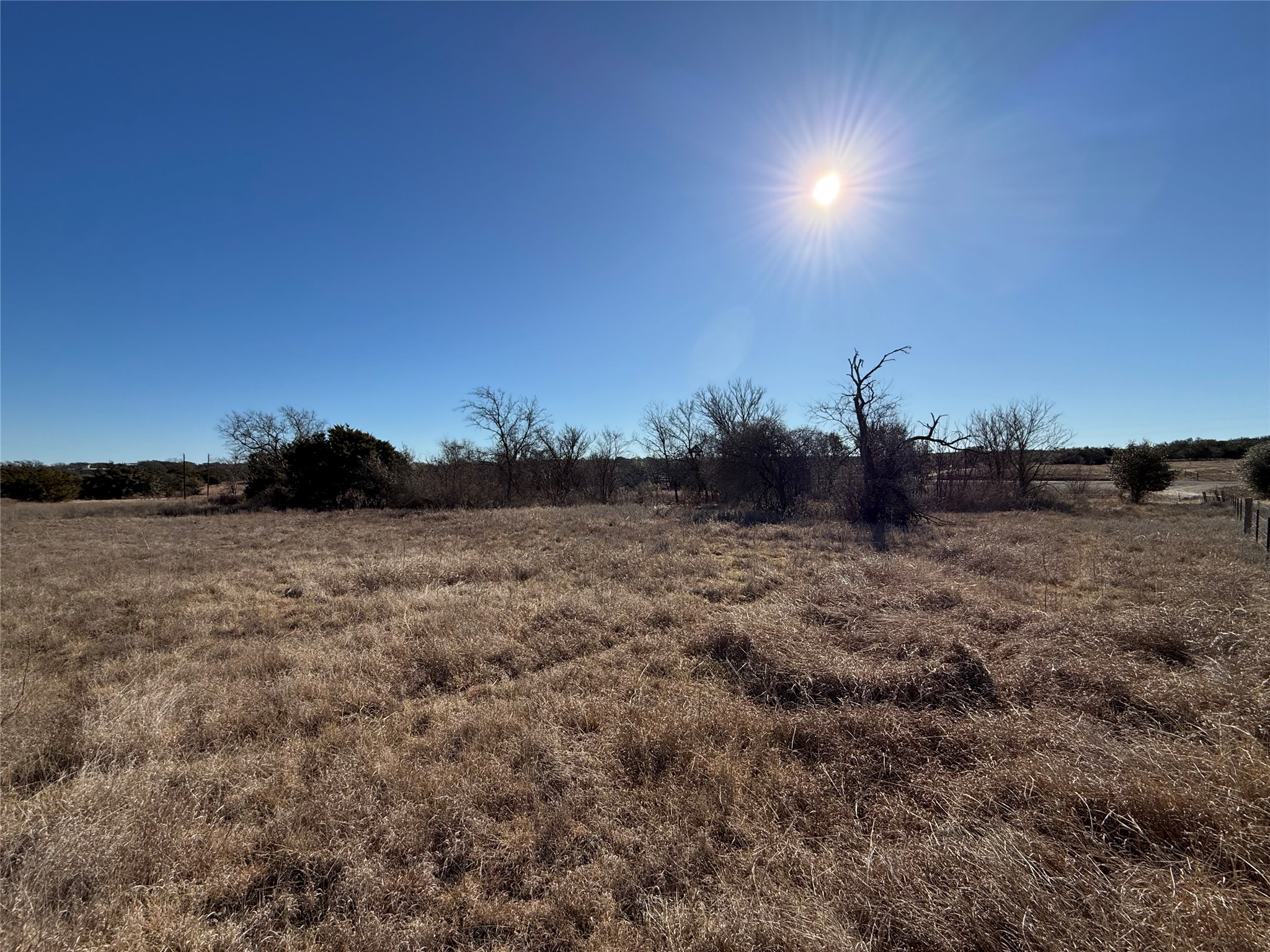 1 Cloudwood Ranch Road Briggs, TX 78608 - Photo 7 of 9 a view of a dry yard with trees