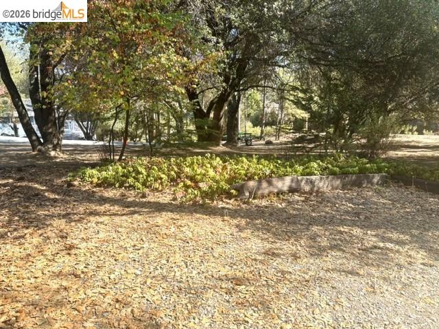 19390 Ferretti Road Groveland, CA 95321 - Photo 34 of 38 Mature trees providing natural shade