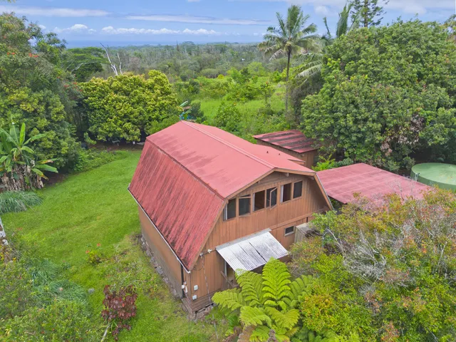 a view of a tree in a tree