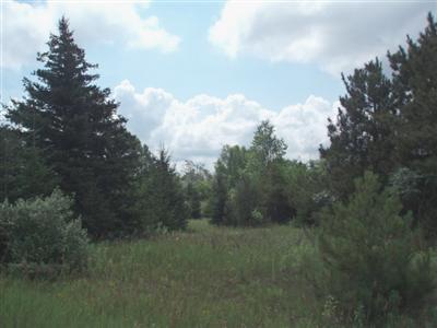 13858 Erdman Road Bear Lake, MI 49614 - Photo 1 of 6 Primary Photo
