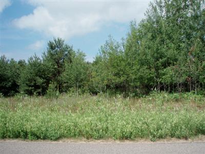 13858 Erdman Road Bear Lake, MI 49614 - Photo 3 of 6 Additional Photo