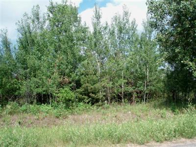 13858 Erdman Road Bear Lake, MI 49614 - Photo 4 of 6 Additional Photo