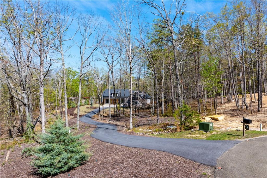 464 Stonehaven Court Jasper, GA 30143 - Photo 2 of 54