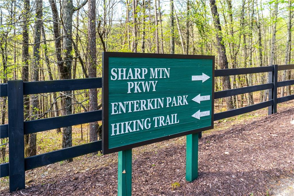 464 Stonehaven Court Jasper, GA 30143 - Photo 40 of 54