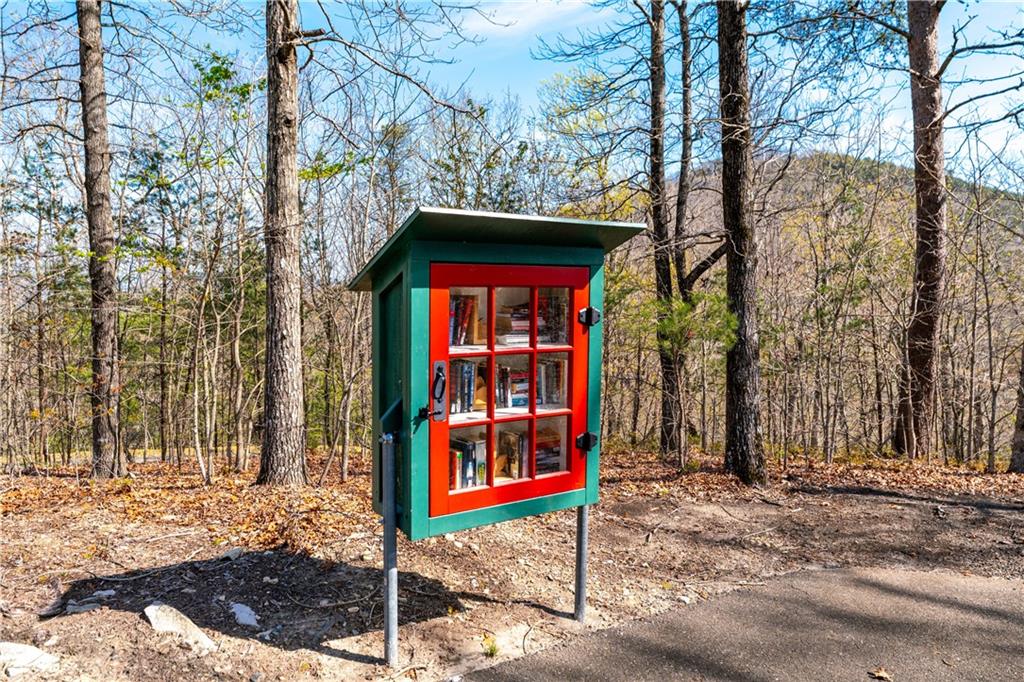 464 Stonehaven Court Jasper, GA 30143 - Photo 43 of 54