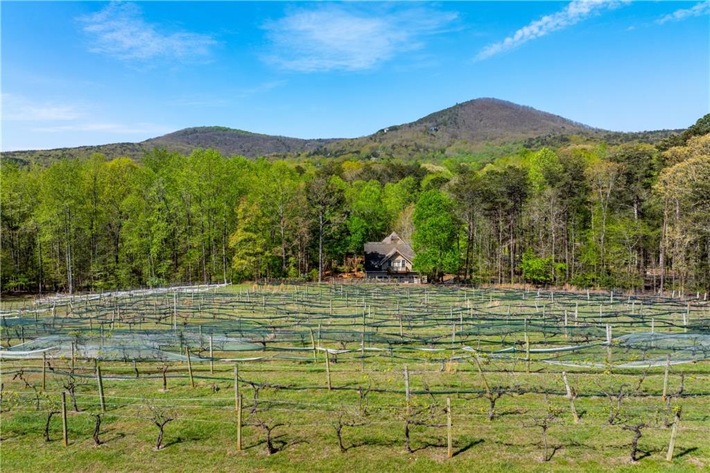 464 Stonehaven Court Jasper, GA 30143 - Photo 54 of 54