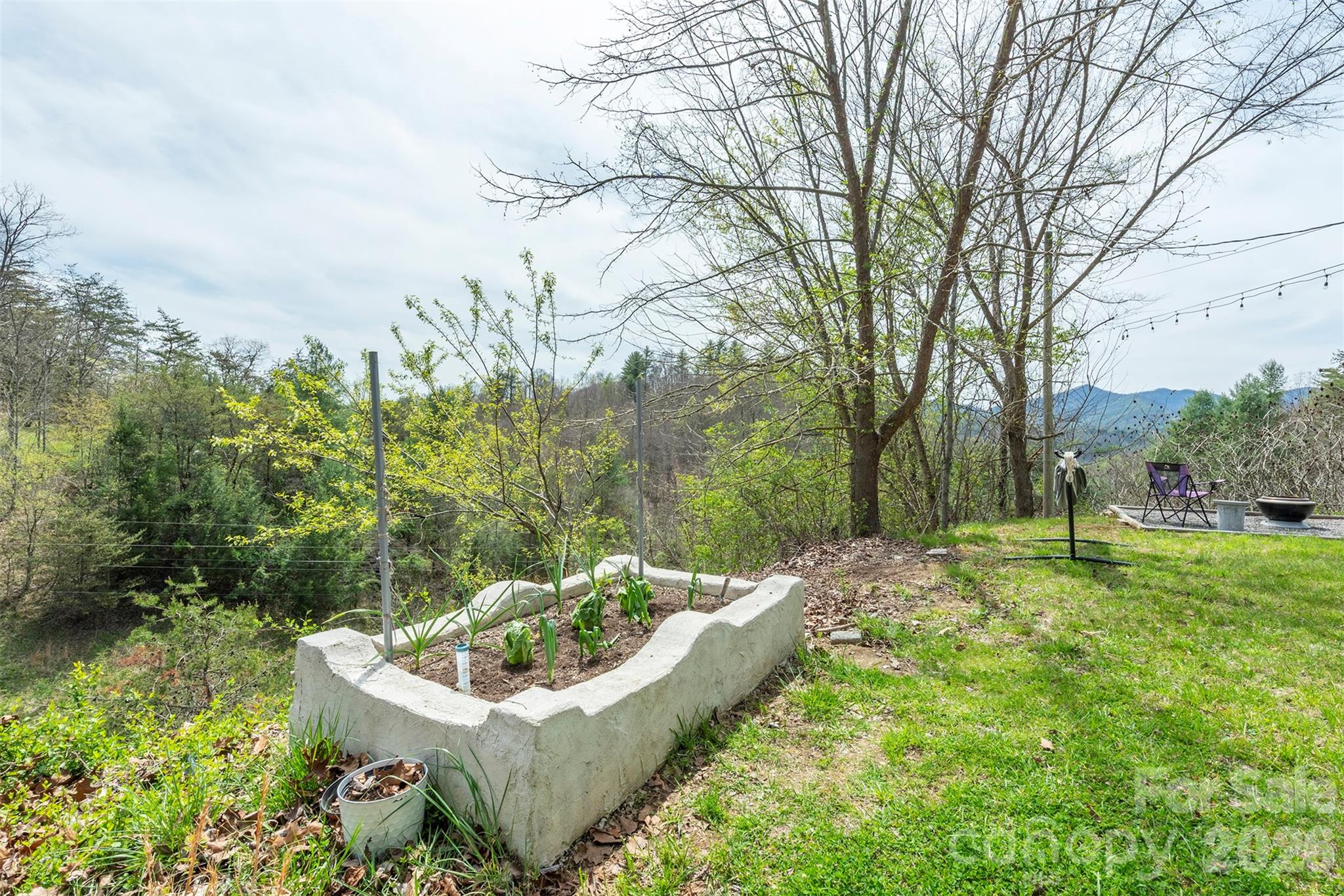 1274 Little Pine Road Marshall, NC 28753 - Photo 20 of 25