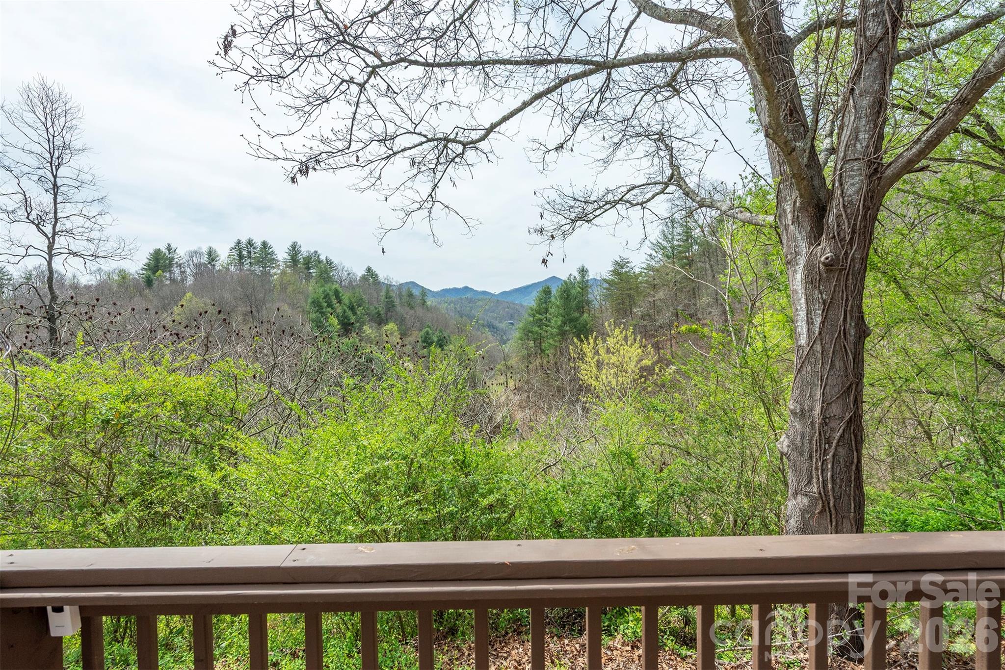 1274 Little Pine Road Marshall, NC 28753 - Photo 4 of 25