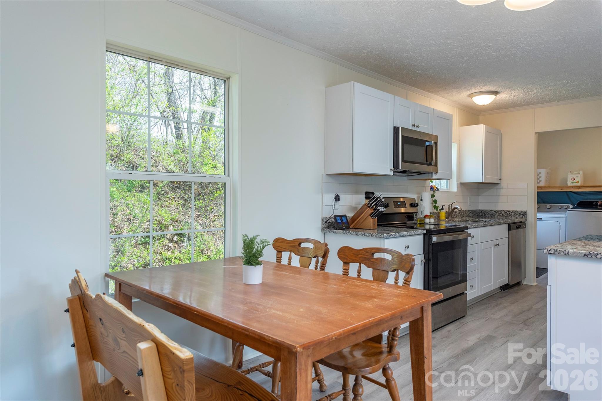 1274 Little Pine Road Marshall, NC 28753 - Photo 7 of 25