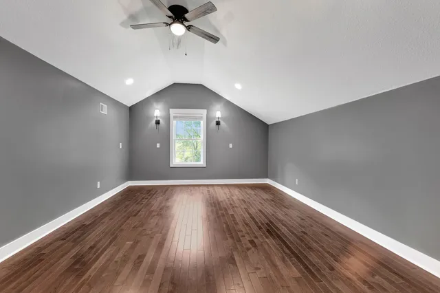 a view of a forest with trees in the background
