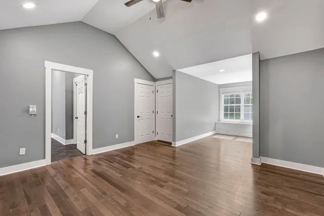 a view of a lush green forest