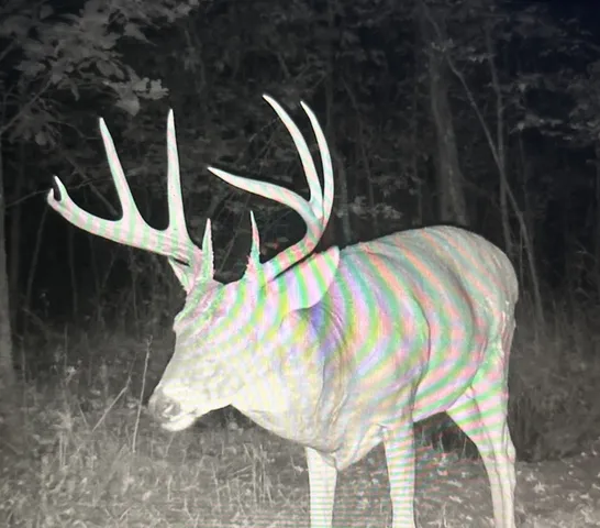 $949,000 | 2600 Little Bartons Creek Road, Cumberland Furnace, TN 37051