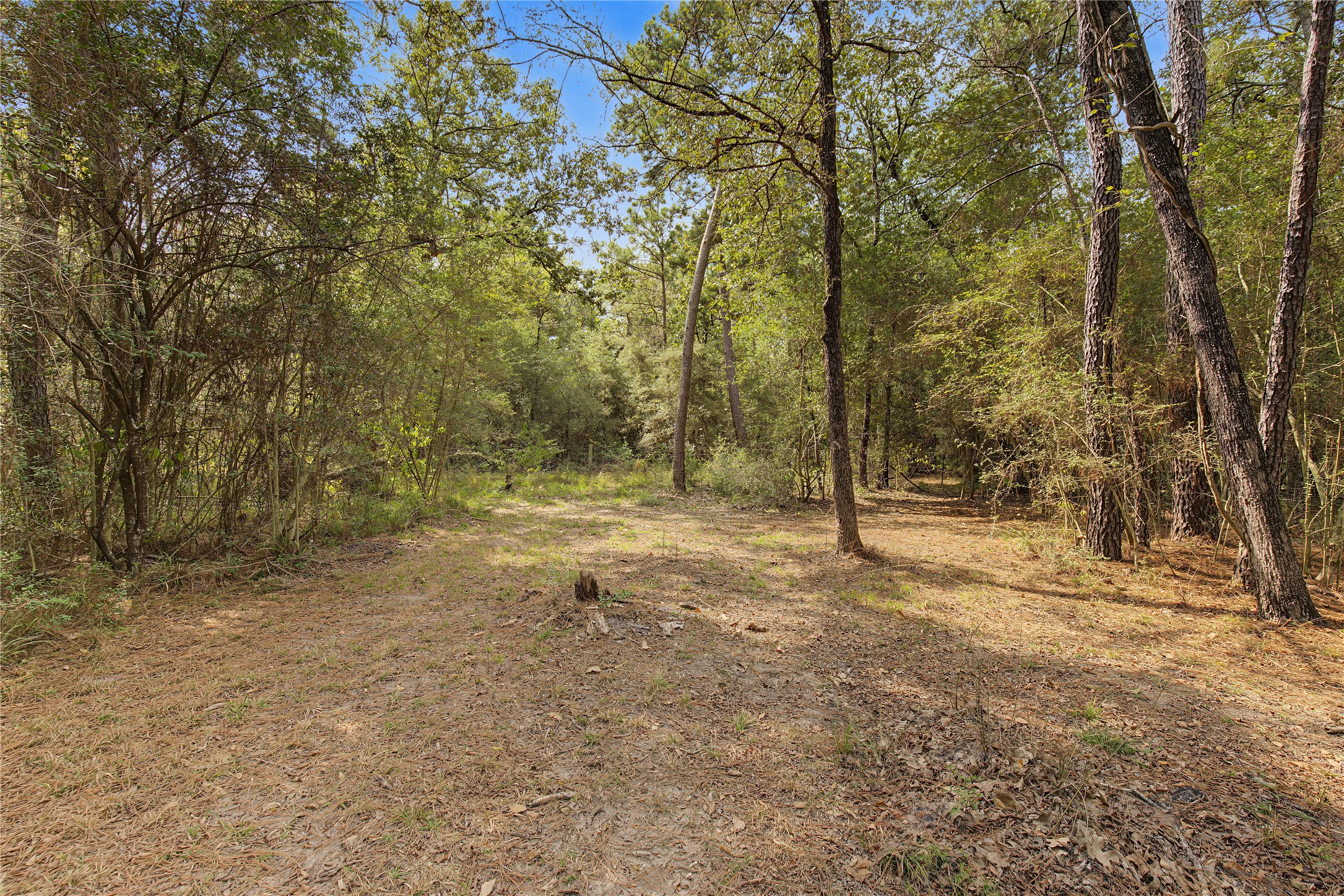 98 Lee Wood Road Huntsville, TX 77320 - Photo 34 of 39 Gallery Image 34