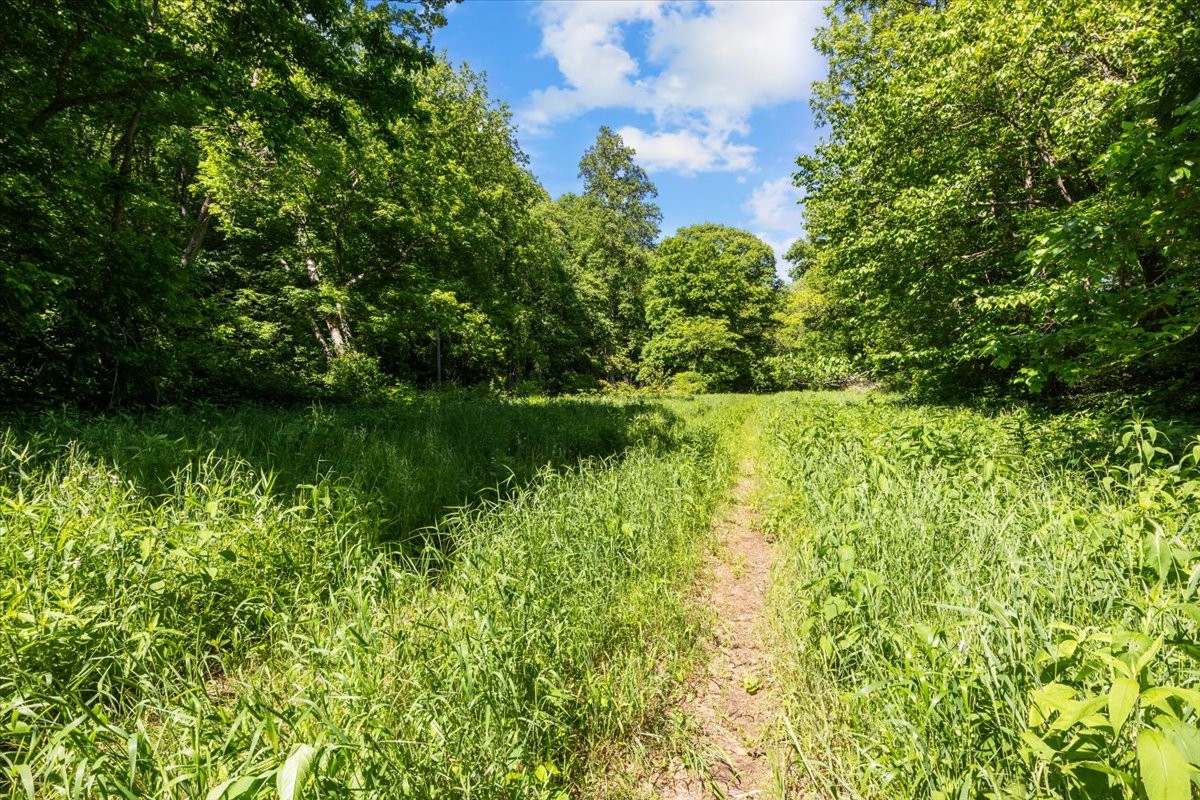 2440 Maple Grove Road Dickson, TN 37055 - Photo 68 of 99