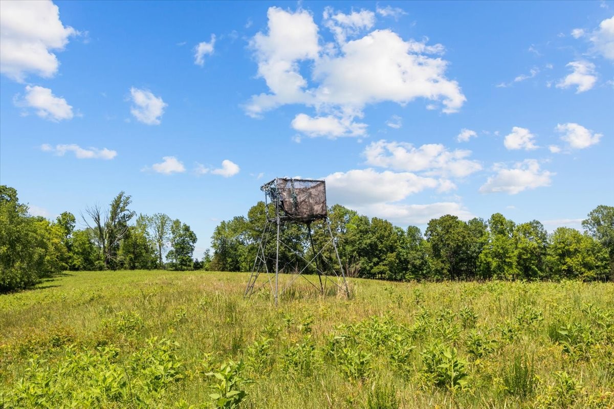 2440 Maple Grove Road Dickson, TN 37055 - Photo 83 of 99