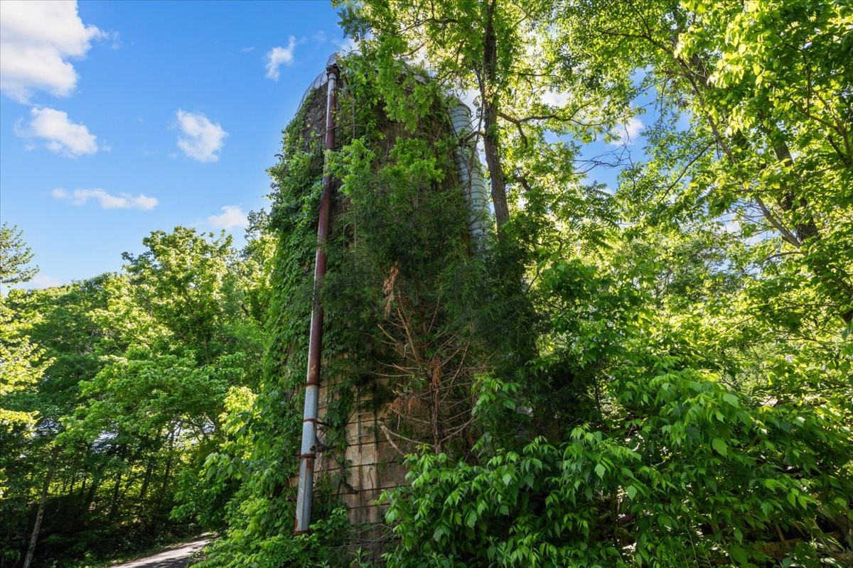 2440 Maple Grove Road Dickson, TN 37055 - Photo 86 of 99 a backyard of a house with lots of green space
