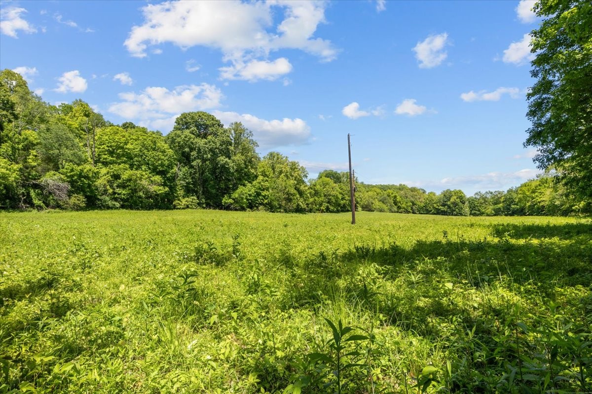 2440 Maple Grove Road Dickson, TN 37055 - Photo 87 of 99
