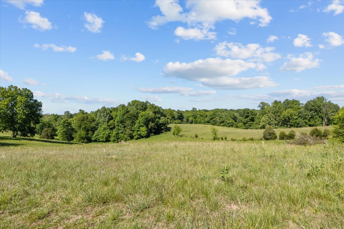 2440 Maple Grove Road Dickson, TN 37055 - Photo 89 of 99 a view of a lake with a yard