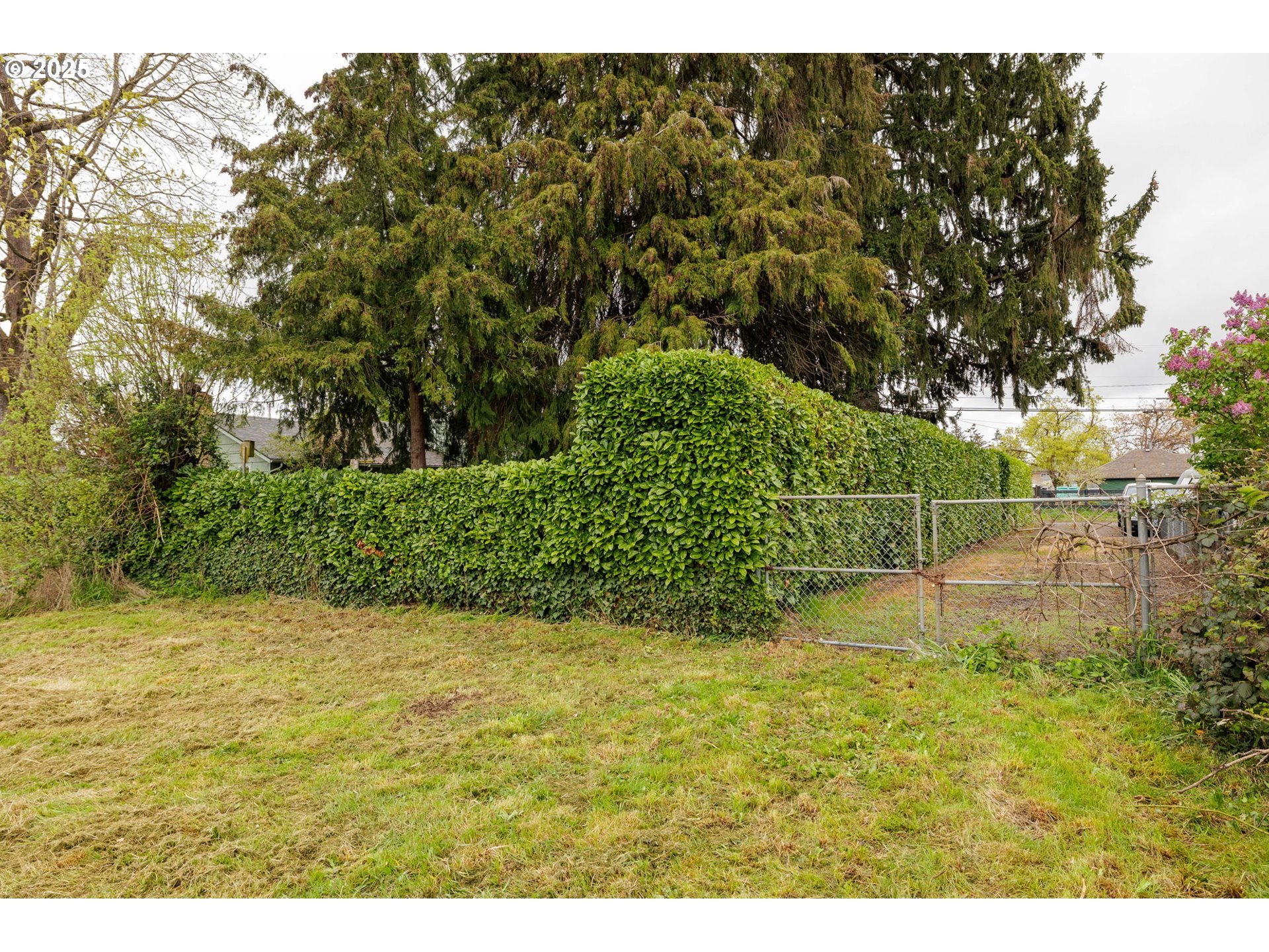 202 20th Street Springfield, OR 97477 - Photo 41 of 42