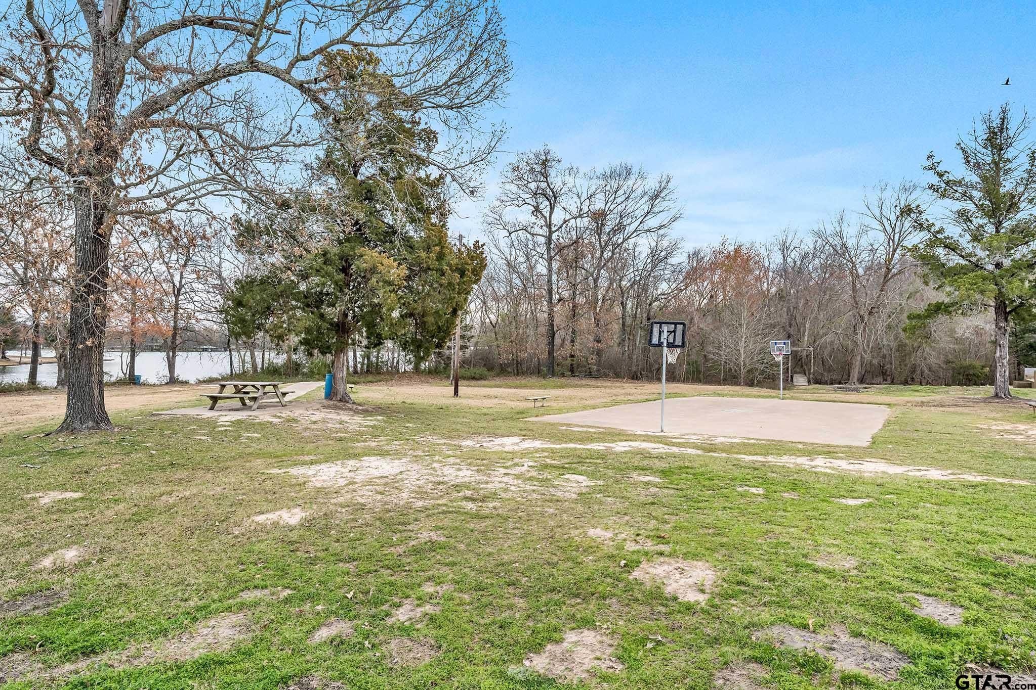 110 Sycamore Lane Murchison, TX 75778 - Photo 41 of 47 a view of yard with trees