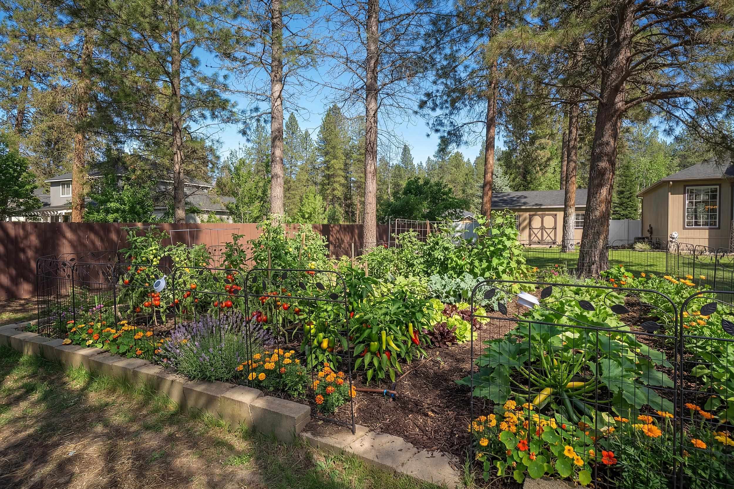 17615 North Kimberly Road Colbert, WA 99005 - Photo 10 of 50