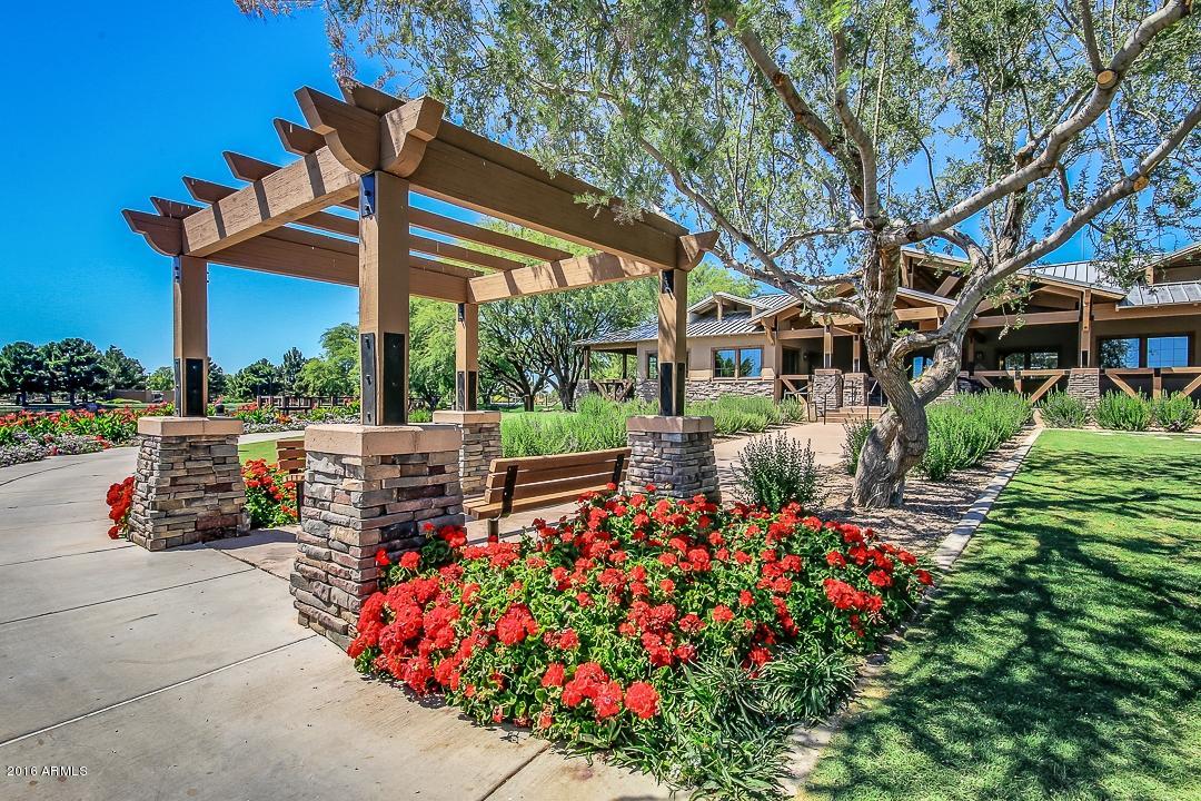4031 East Timberline Road Gilbert, AZ 85297 - Photo 13 of 77 COMMON AREA 5