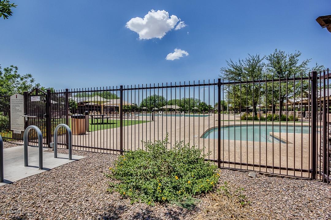 4031 East Timberline Road Gilbert, AZ 85297 - Photo 18 of 77 COMMUNITY POOL