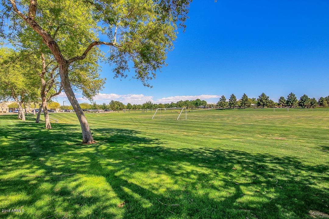 4031 East Timberline Road Gilbert, AZ 85297 - Photo 33 of 77 GREENBELT 3