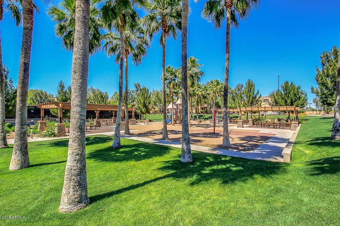 4031 East Timberline Road Gilbert, AZ 85297 - Photo 37 of 77 GREENBELT PALM TREES