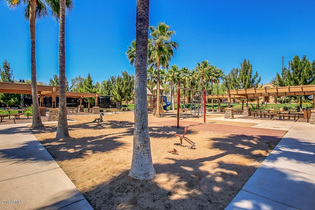 4031 East Timberline Road Gilbert, AZ 85297 - Photo 55 of 77 PALM TREES