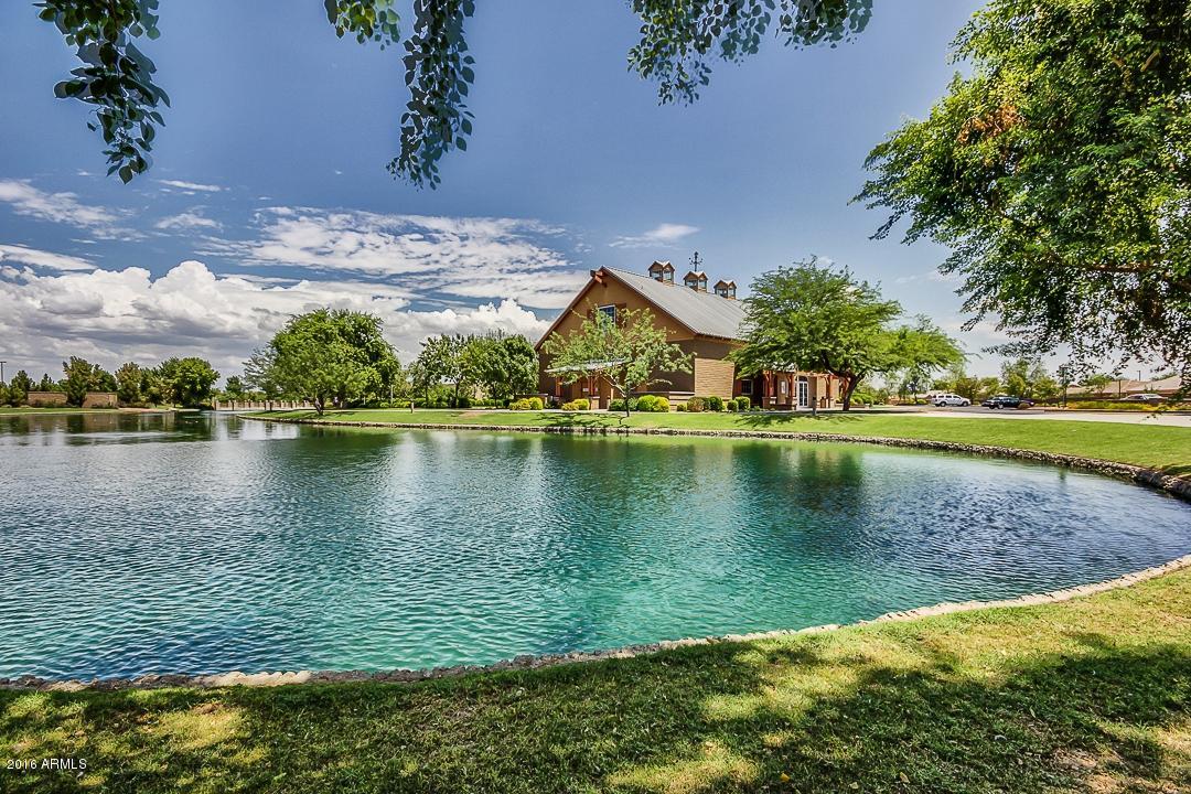 4031 East Timberline Road Gilbert, AZ 85297 - Photo 6 of 77 AREA LAKE