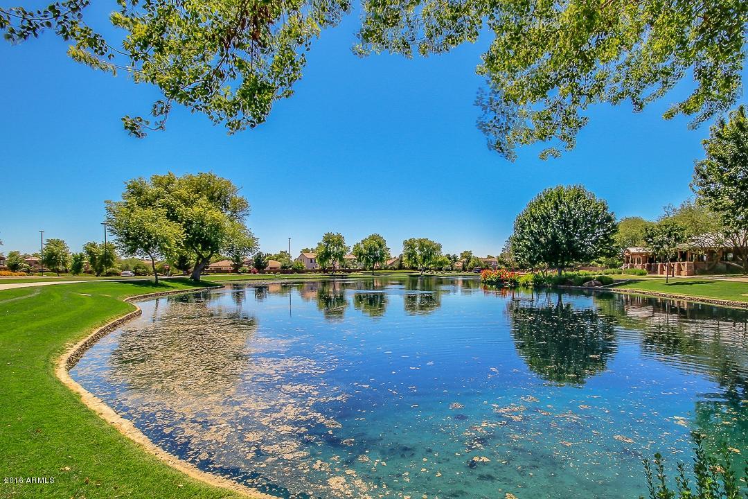 4031 East Timberline Road Gilbert, AZ 85297 - Photo 61 of 77 POND 1
