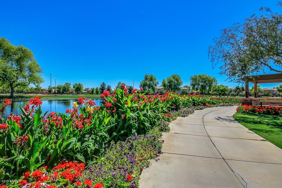 4031 East Timberline Road Gilbert, AZ 85297 - Photo 62 of 77 POND