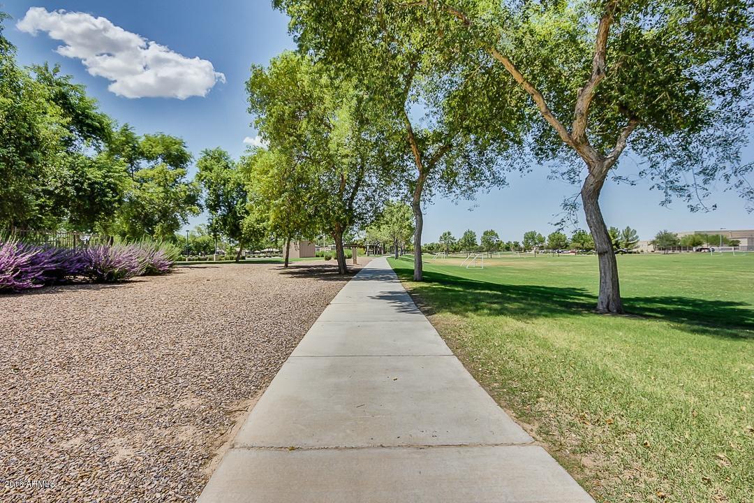 4031 East Timberline Road Gilbert, AZ 85297 - Photo 70 of 77 Timberline-71
