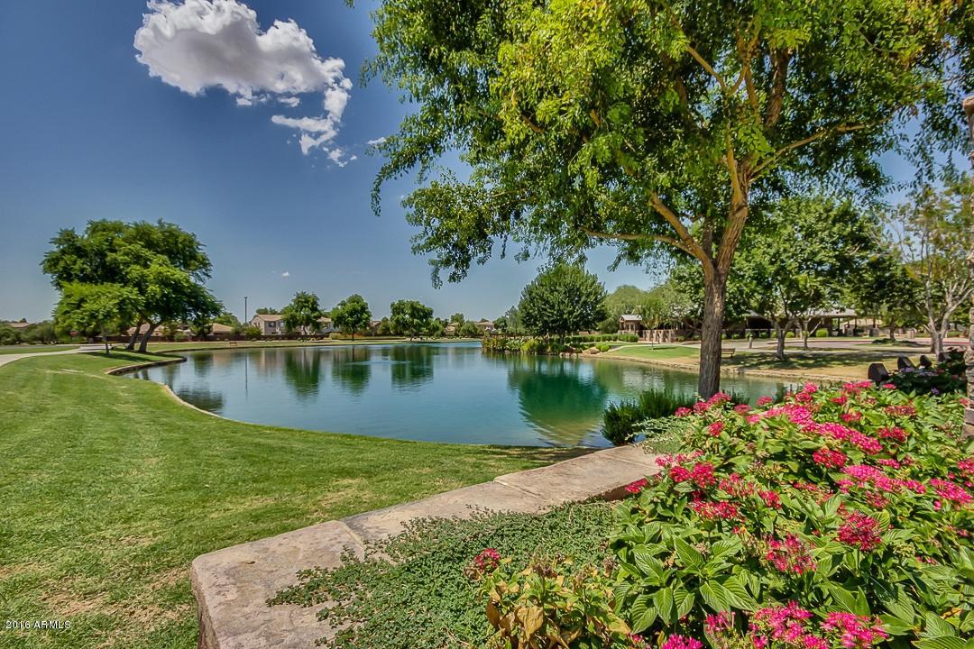 4031 East Timberline Road Gilbert, AZ 85297 - Photo 71 of 77 Timberline-72