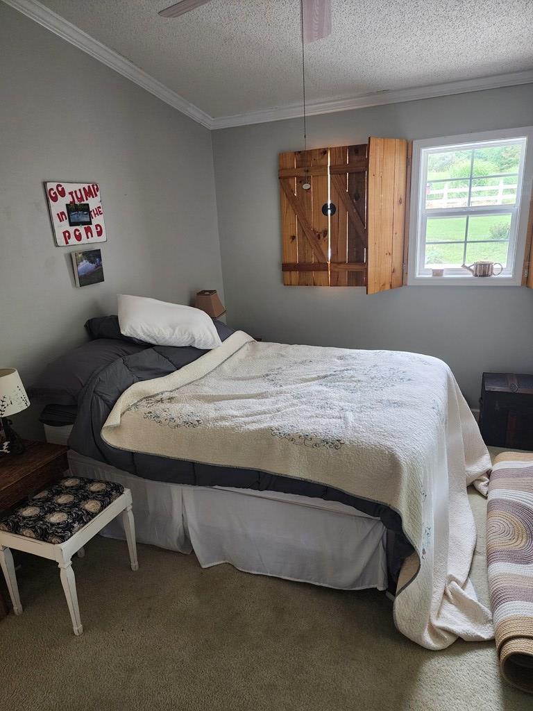 281 Arrowhead Road Fancy Gap, VA 24328 - Photo 39 of 44 Gallery Image 39