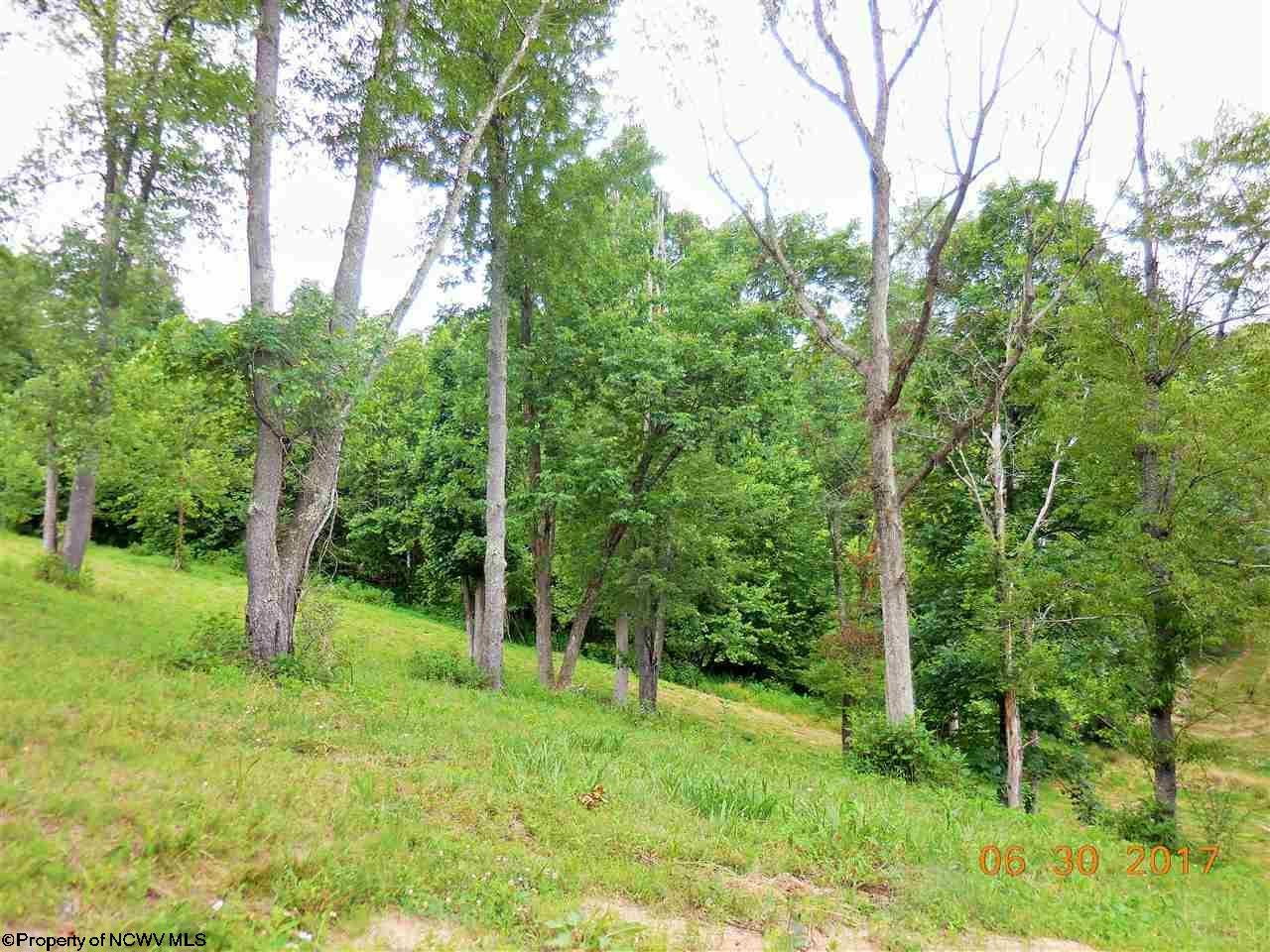 1754 Stouts Run Road Mount Clare, WV 26408 - Photo 12 of 14 Gallery Image 12