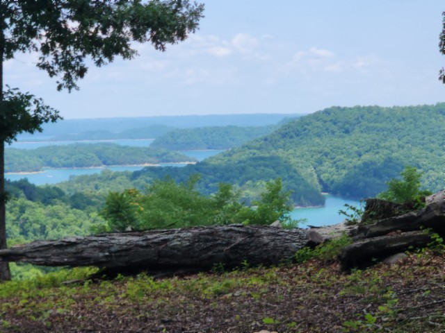 0 Rock Fish Road East Celina, TN 38551 - Photo 6 of 27