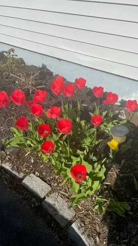 $379,900 | 96 Holm Avenue, Portland, ME 04102