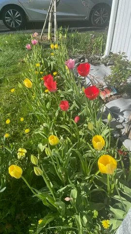 $379,900 | 96 Holm Avenue, Portland, ME 04102