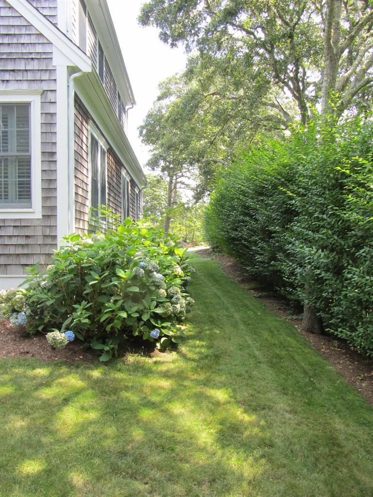 102 Marsh View Road Chatham, MA 02633 - Photo 5 of 23 a backyard of a house with plants and large trees