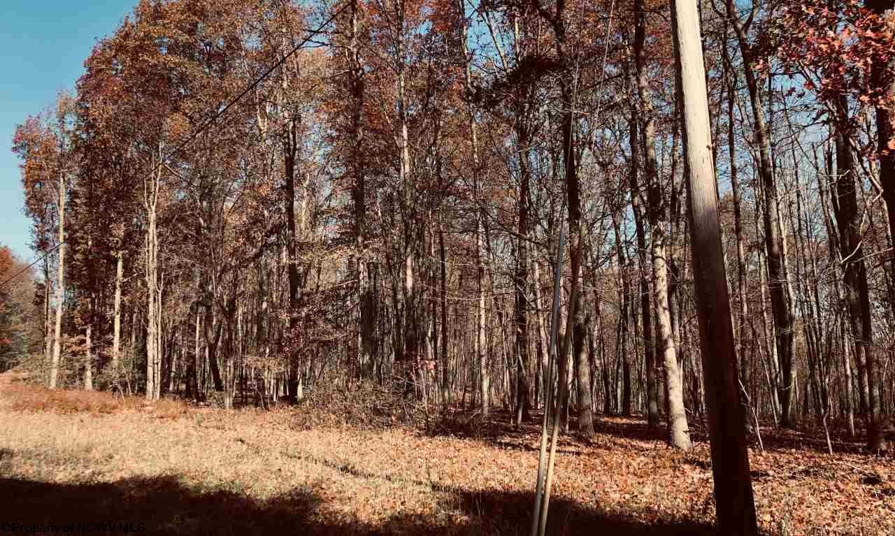 511 B Pond Road Morgantown, WV 26508 - Photo 2 of 5 Gallery Image 2