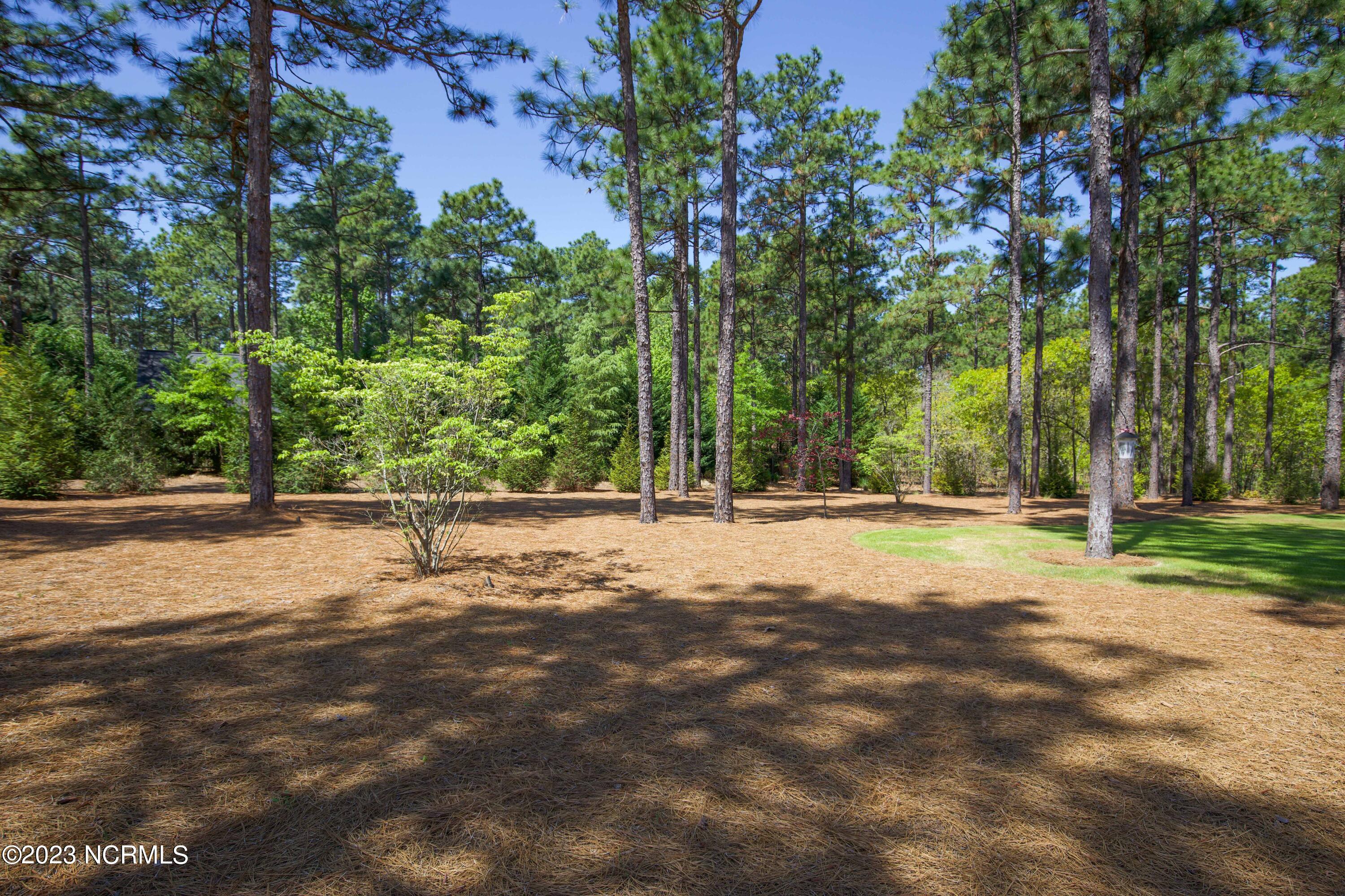 14 Birkdale Drive Pinehurst, NC 28374 - Photo 46 of 55 14 Birkdale
