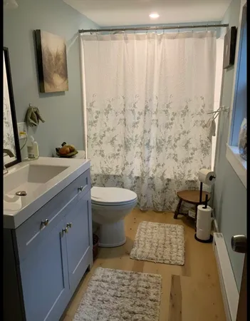 a view of a lush green forest with large trees