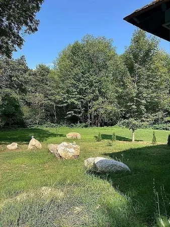 a view of a garden with trees