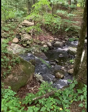 a view of a lake view of a house